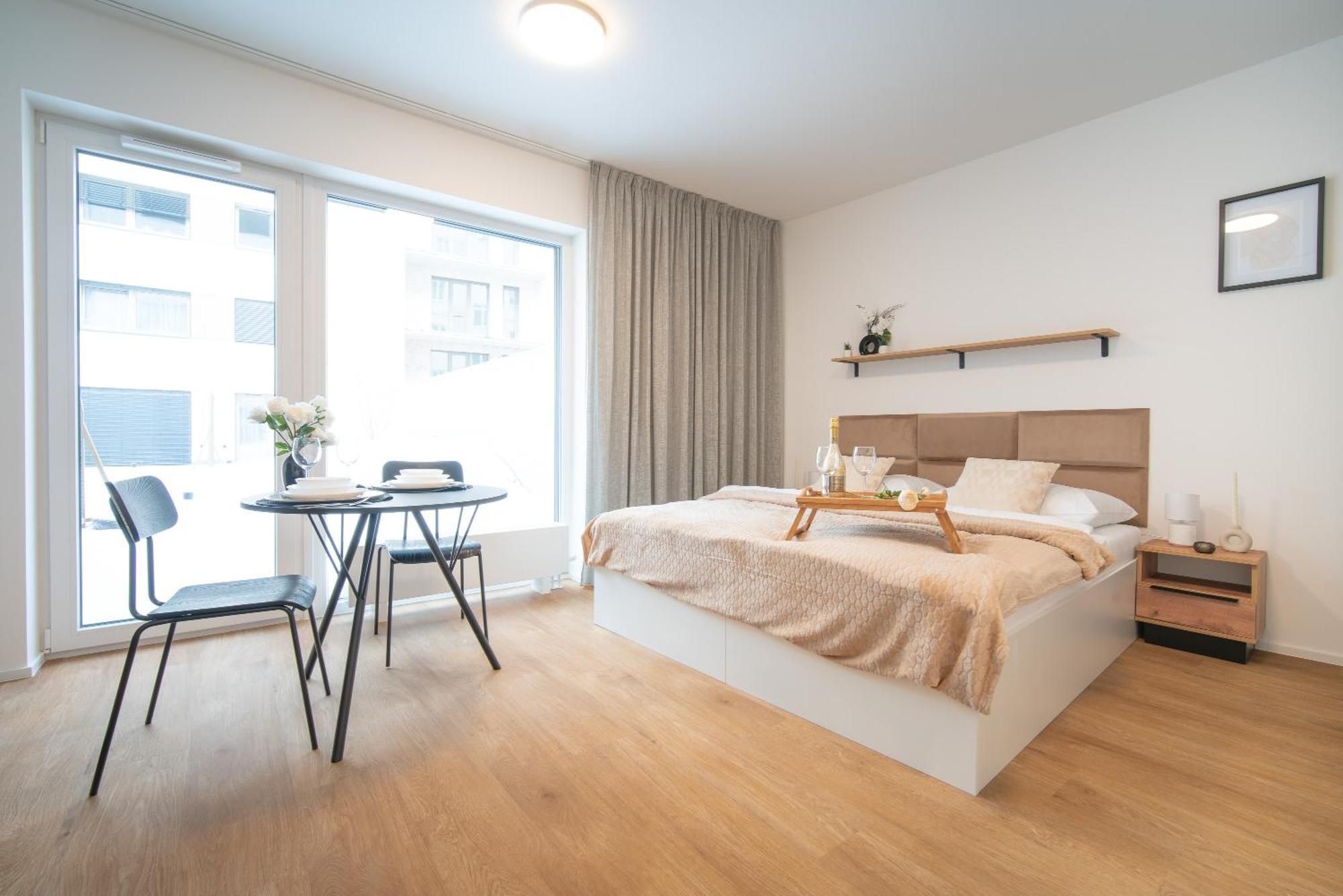 City Relax Apartments With Free Parking, 10 Mins Walk To City Centre Brno Buitenkant foto